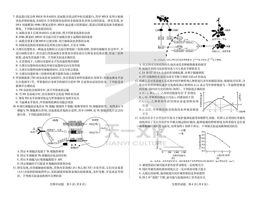 皖豫名校联盟2024-2025学年高三4月份检测生物第2页