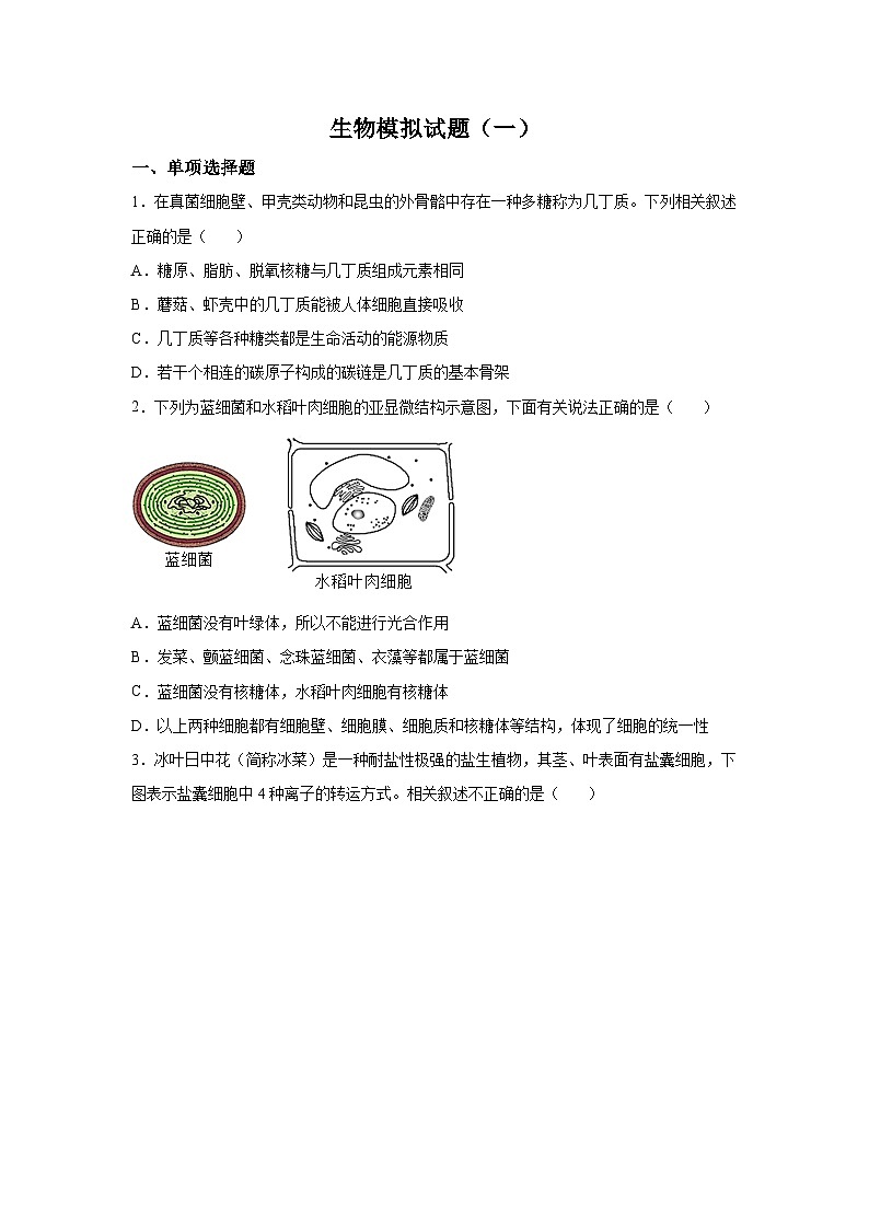 河北省廊坊市一中2022-2023学年高三12月第一次模拟生物试题 附答案第1页