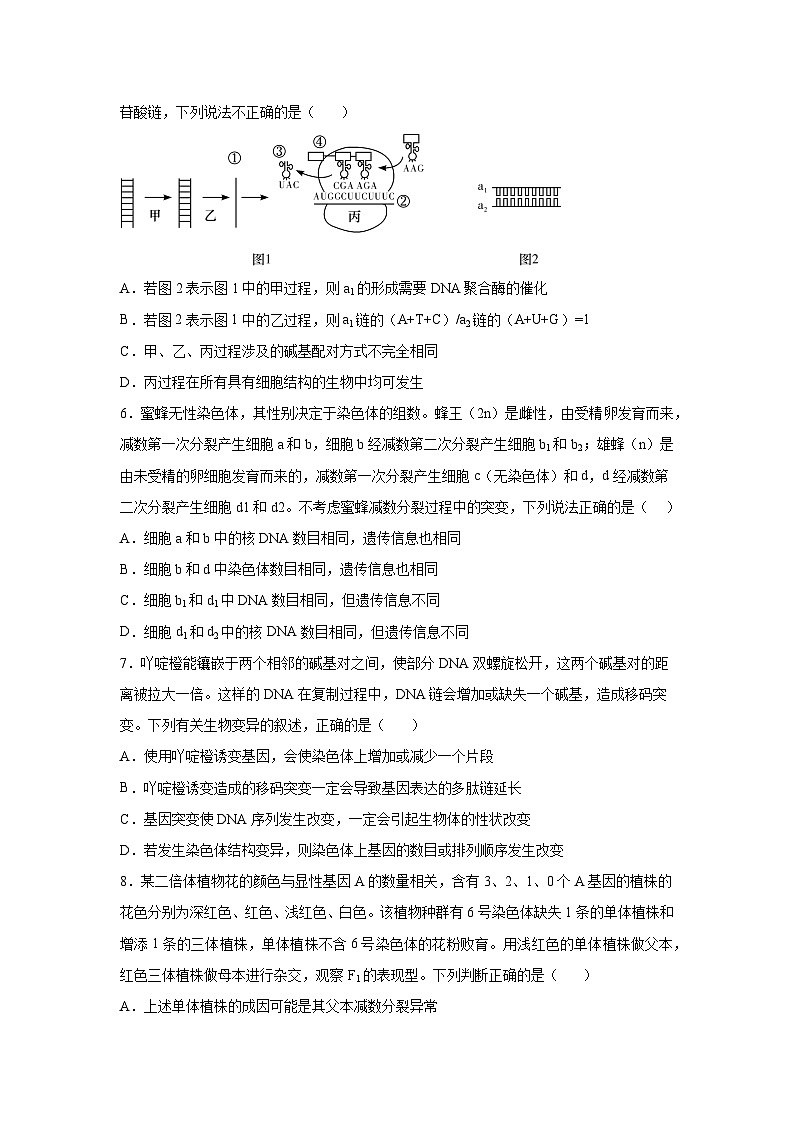 河北省廊坊市一中2022-2023学年高三12月第一次模拟生物试题 附答案第3页