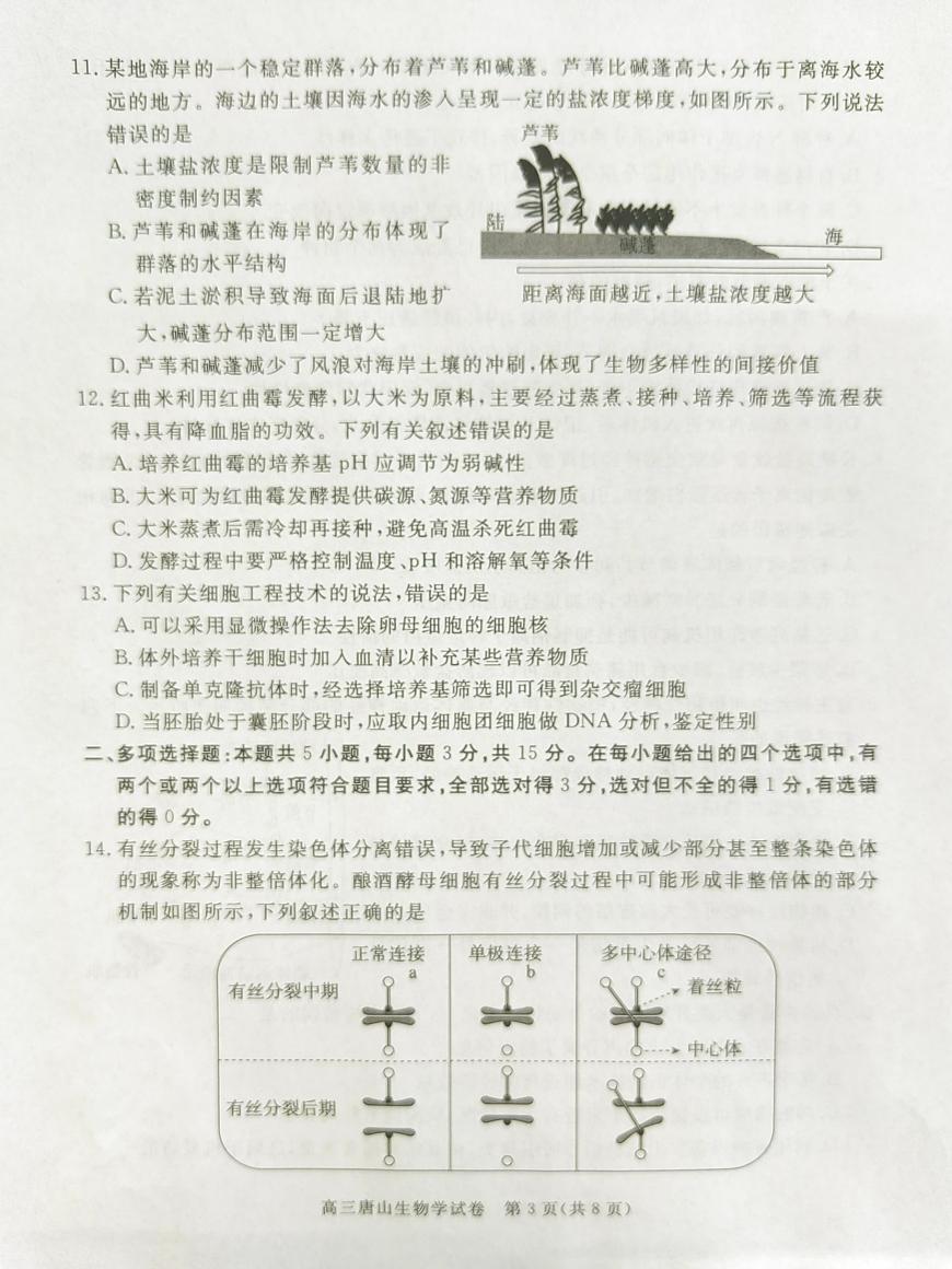 2025年河北省唐山市普通高等学校招生统一考试第二次模拟演练生物试题第3页