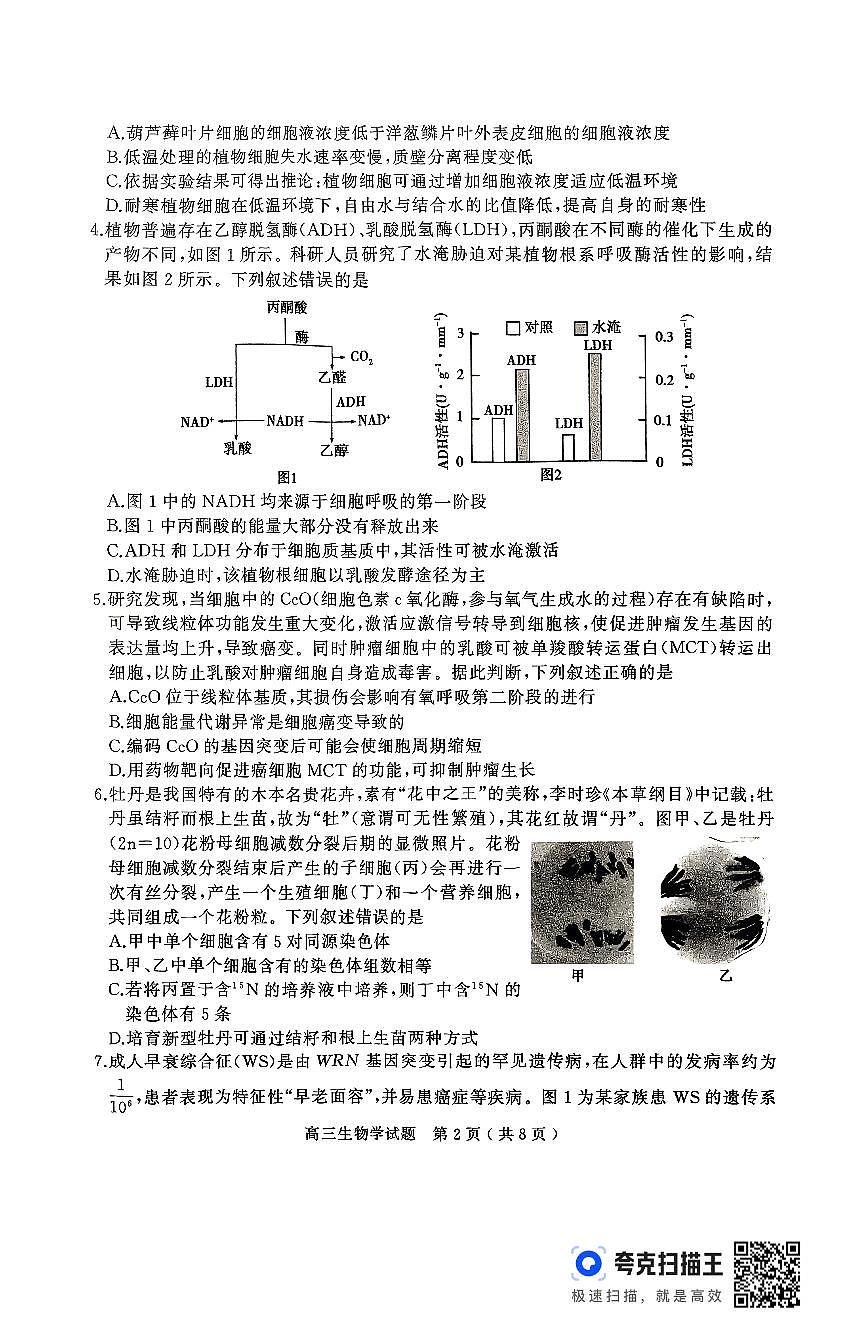 生物试卷第2页