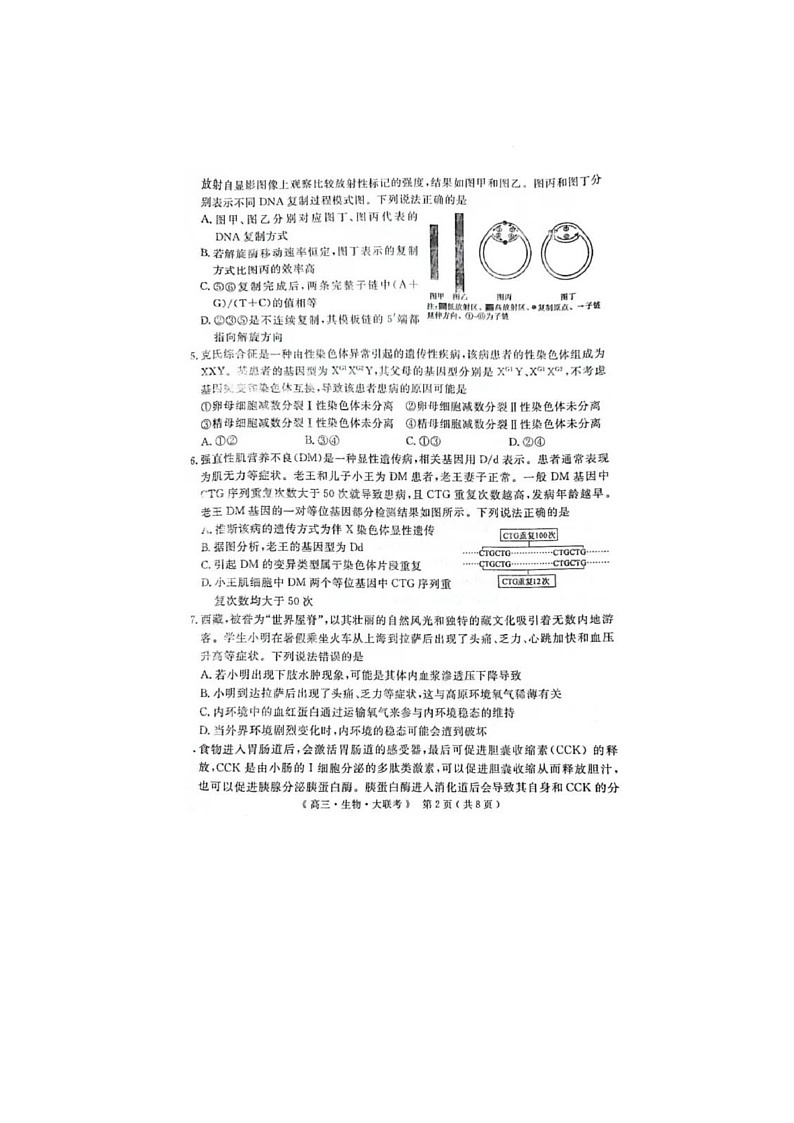 河南、新疆2025届H20高中联盟4月高三联考生物试卷含答案第2页