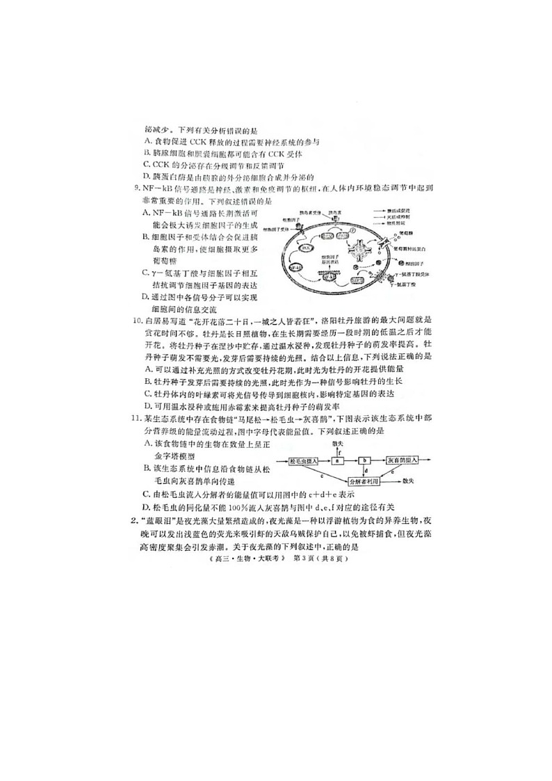 河南、新疆2025届H20高中联盟4月高三联考生物试卷含答案第3页