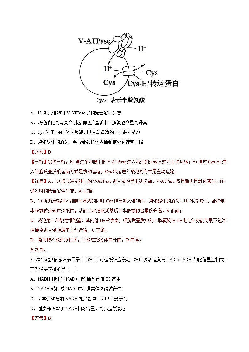 2025年高考第二次模拟考试卷：生物（陕晋青宁四省卷）（解析版）第2页
