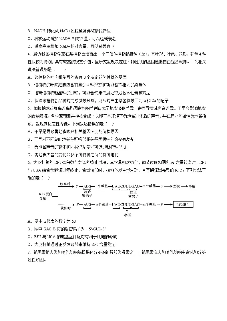 2025年高考第二次模拟考试卷：生物（陕晋青宁四省卷）（考试版）第2页