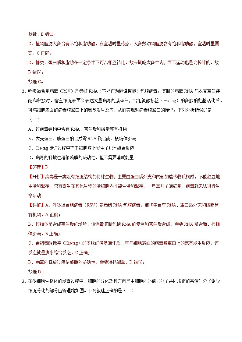 2025年高考第二次模拟考试卷：生物（四川卷）（解析版）第2页