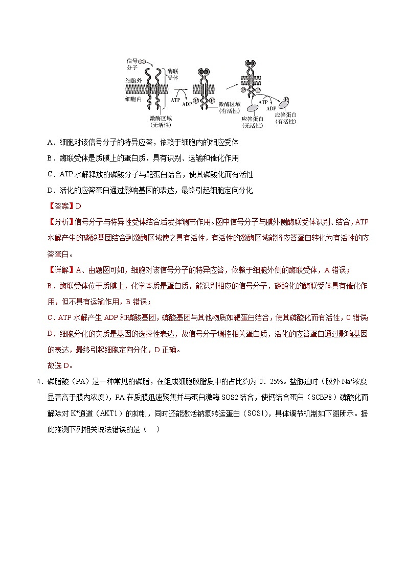 2025年高考第二次模拟考试卷：生物（四川卷）（解析版）第3页