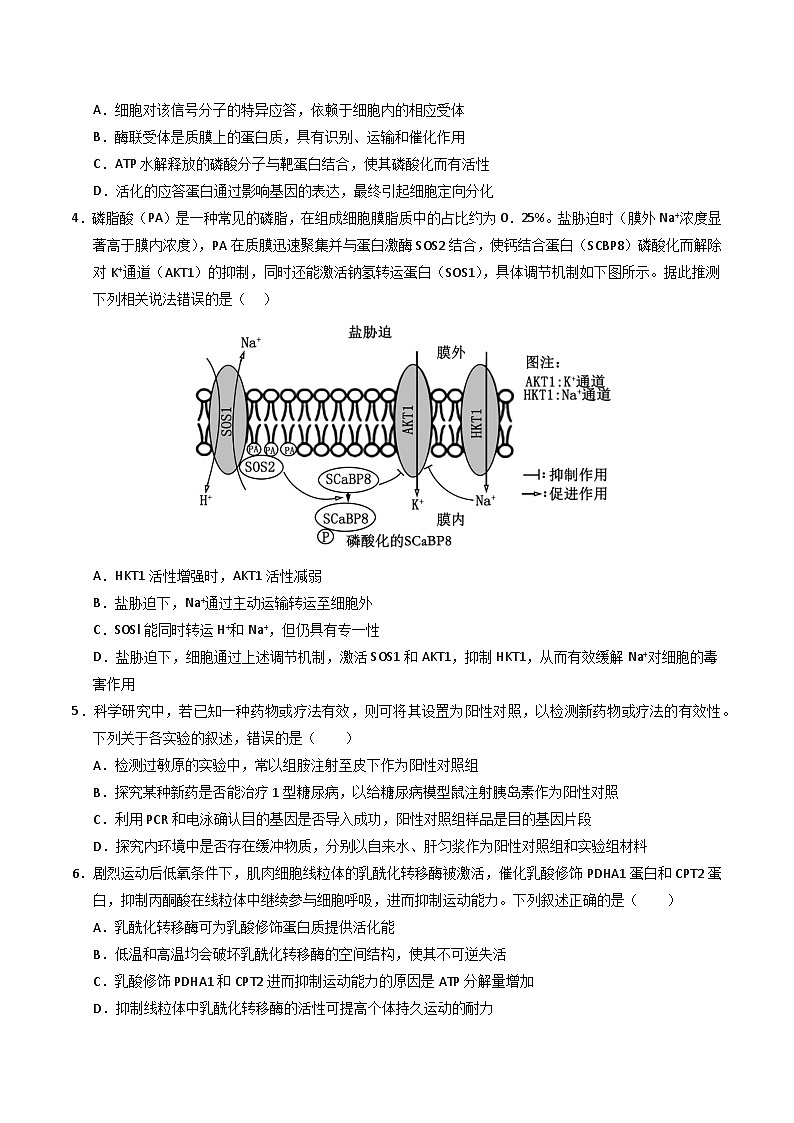 2025年高考第二次模拟考试卷：生物（四川卷）（考试版）第2页