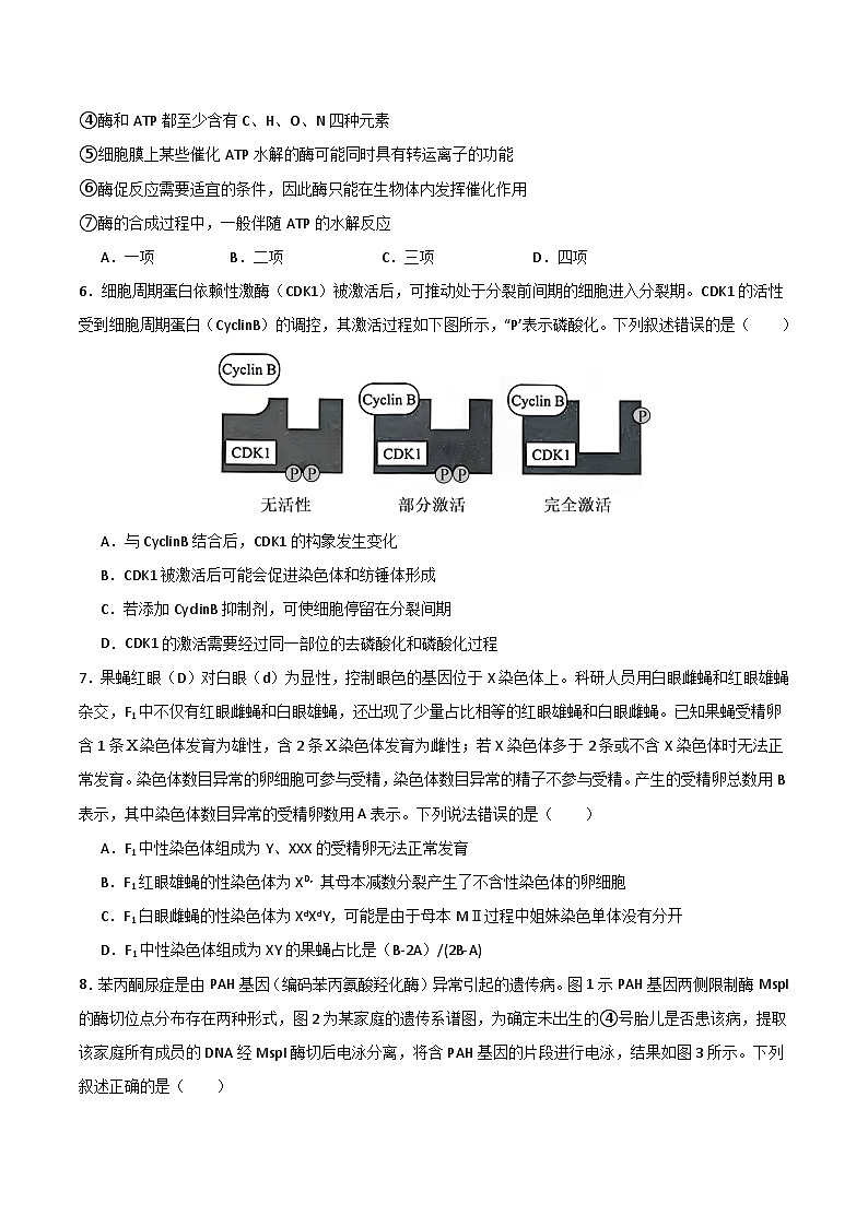 2025年高考第二次模拟考试卷：生物（云南卷）（考试版）第3页