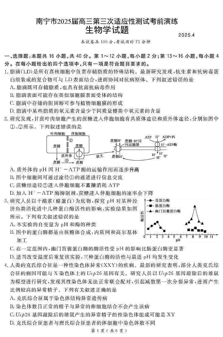 广西南宁市2025届高三高考模拟第二次适应性测试-生物试题+答案第1页