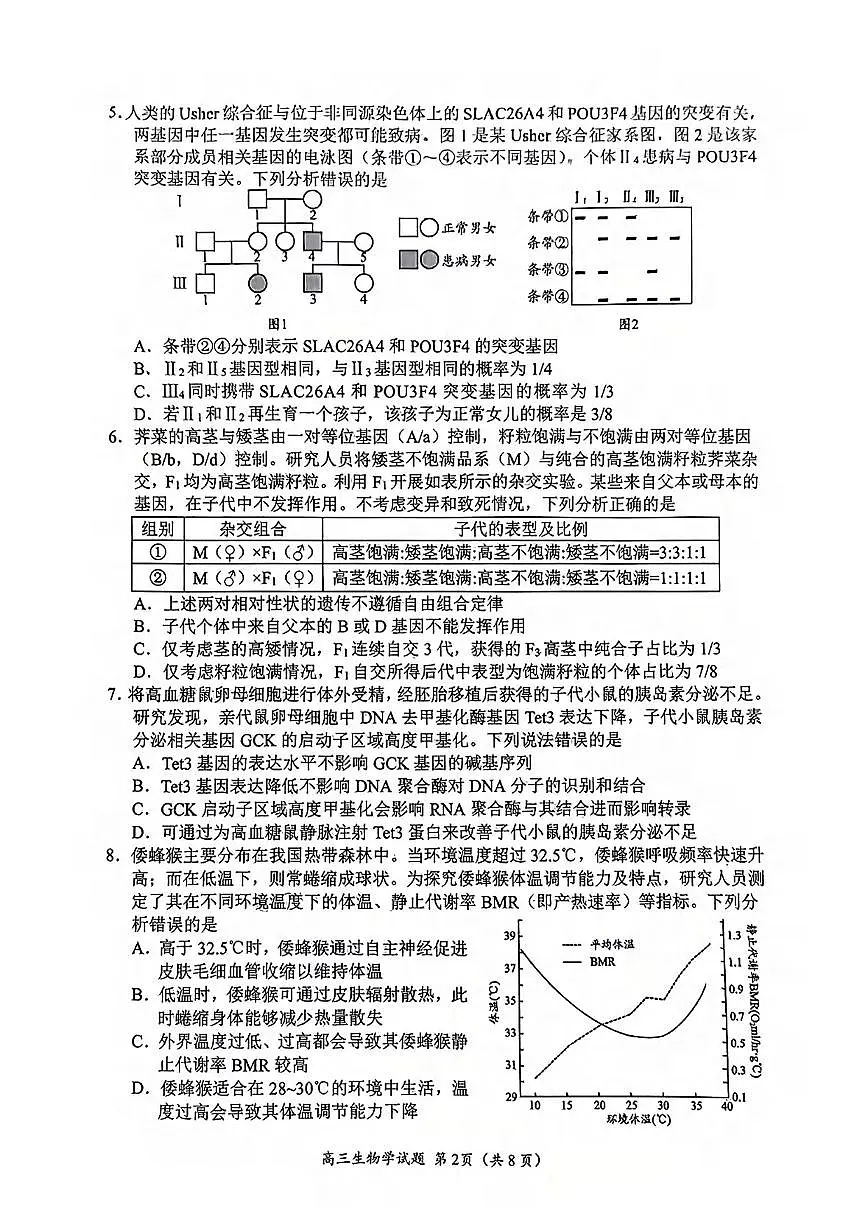 生物丨山东省日照市2025年高三下学期4月二模校际联合考试生物试卷及答案第2页