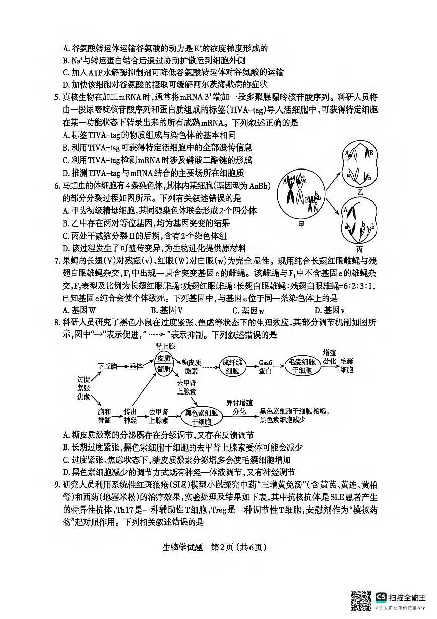 生物丨山西省太原市2025届高三下学期4月二模生物试卷及答案第2页