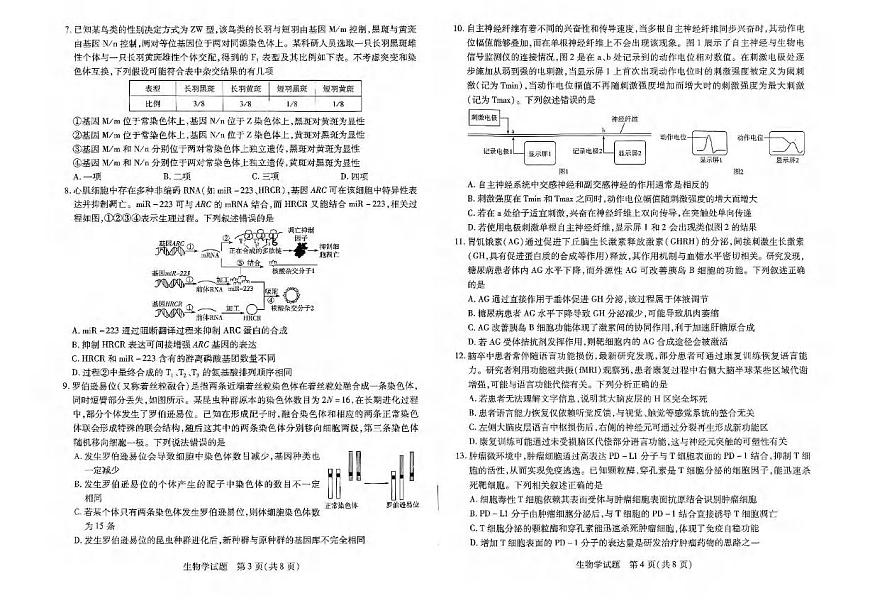 生物丨天一大联考2025届高三下学期阶段性测试（七）生物试卷及答案第2页