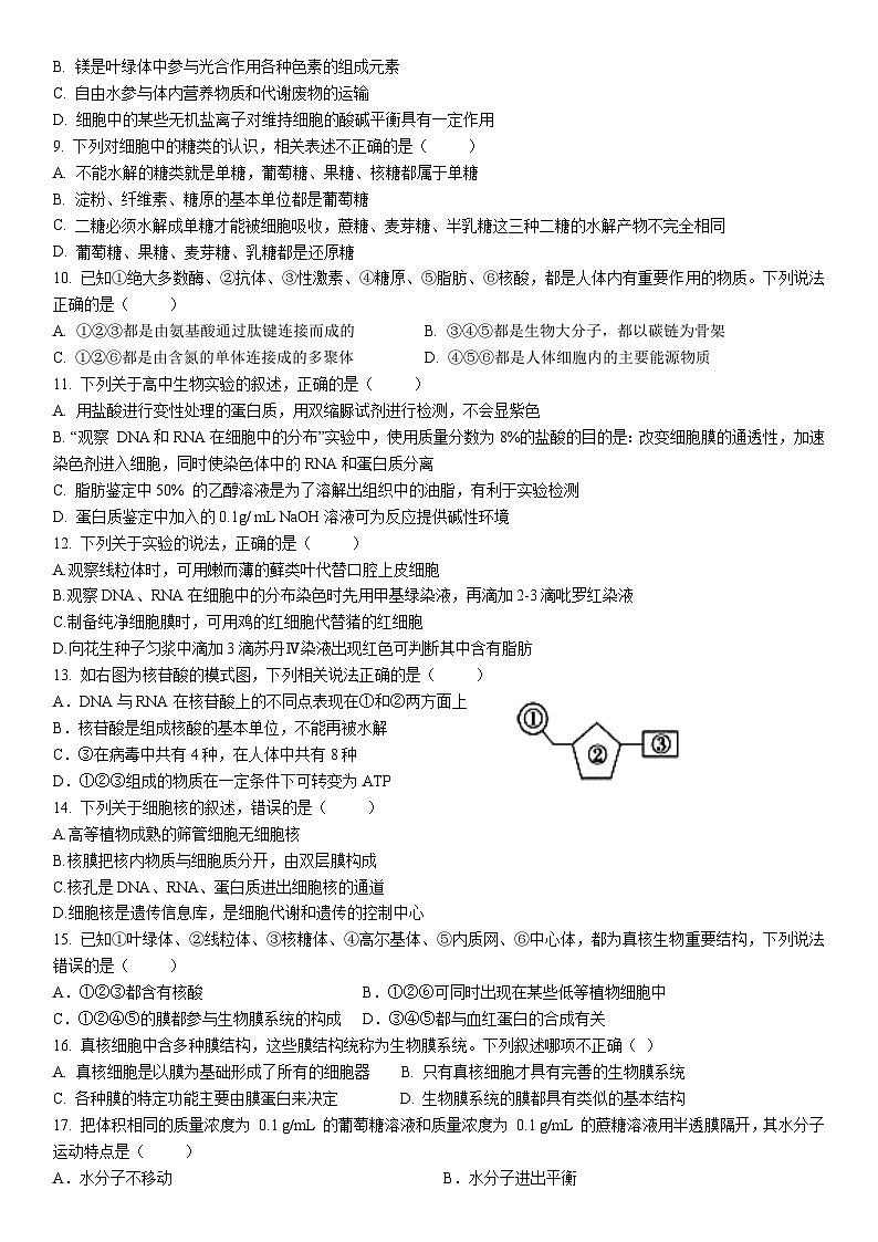 四川省内江市第一中学2021-2022学年高一上学期12月月考生物试题第2页