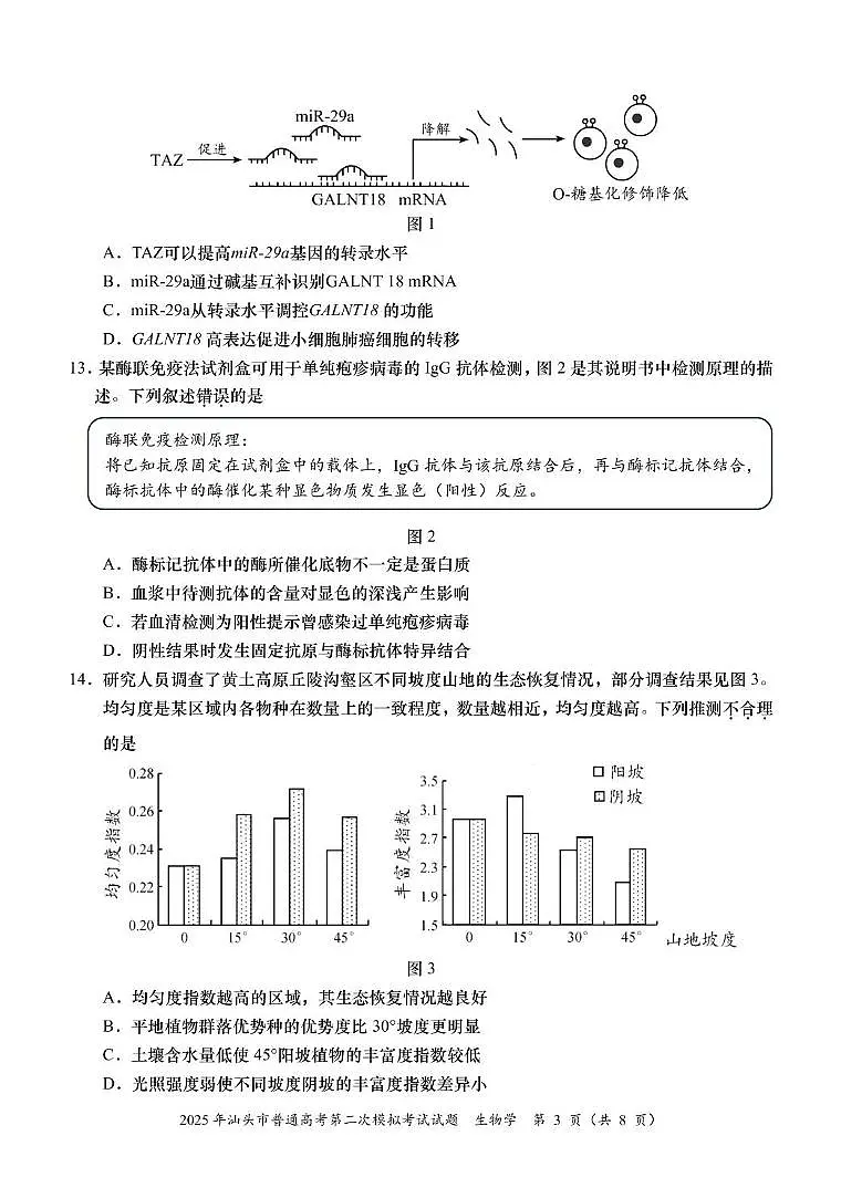 2025届广东省汕头市高三下学期普通高考第二次模拟考试生物学试题第3页
