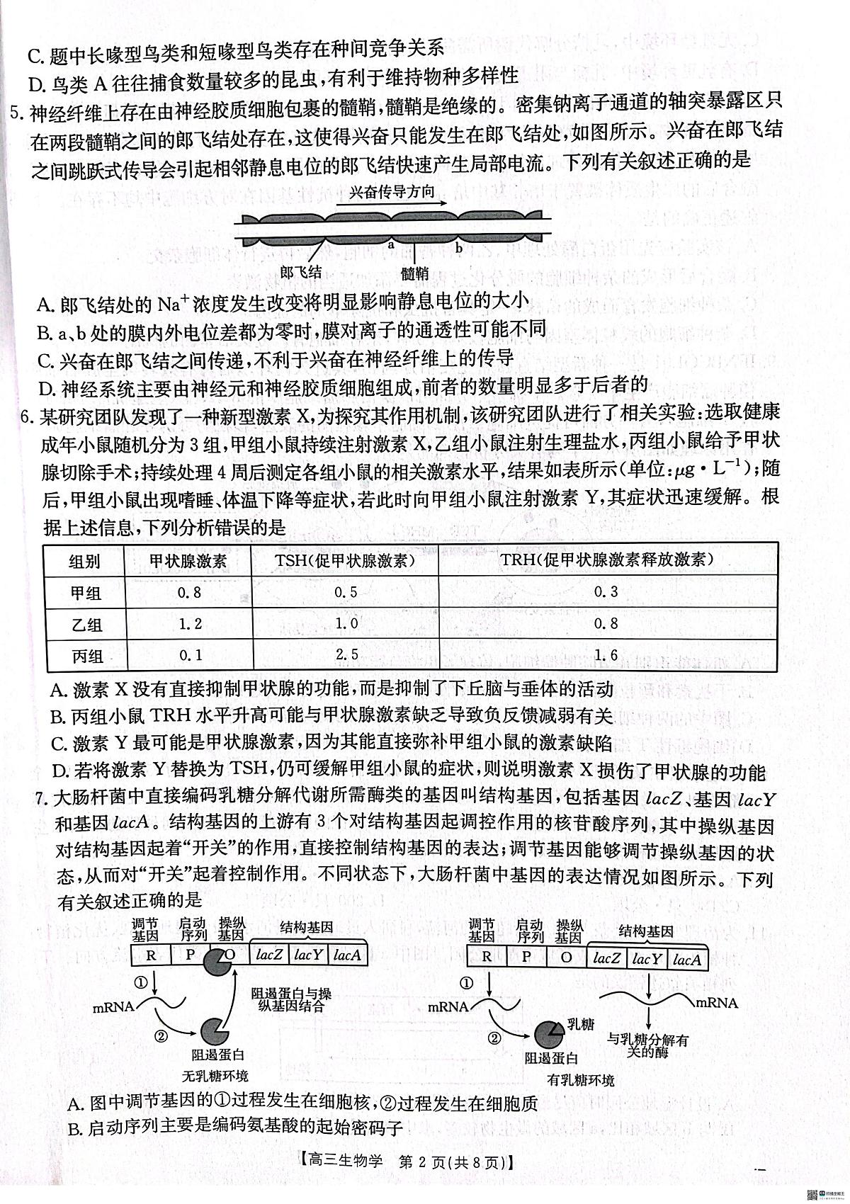 2025届河北省“五个一”名校联盟高三下学期4月联考生物试题（含答案）第2页