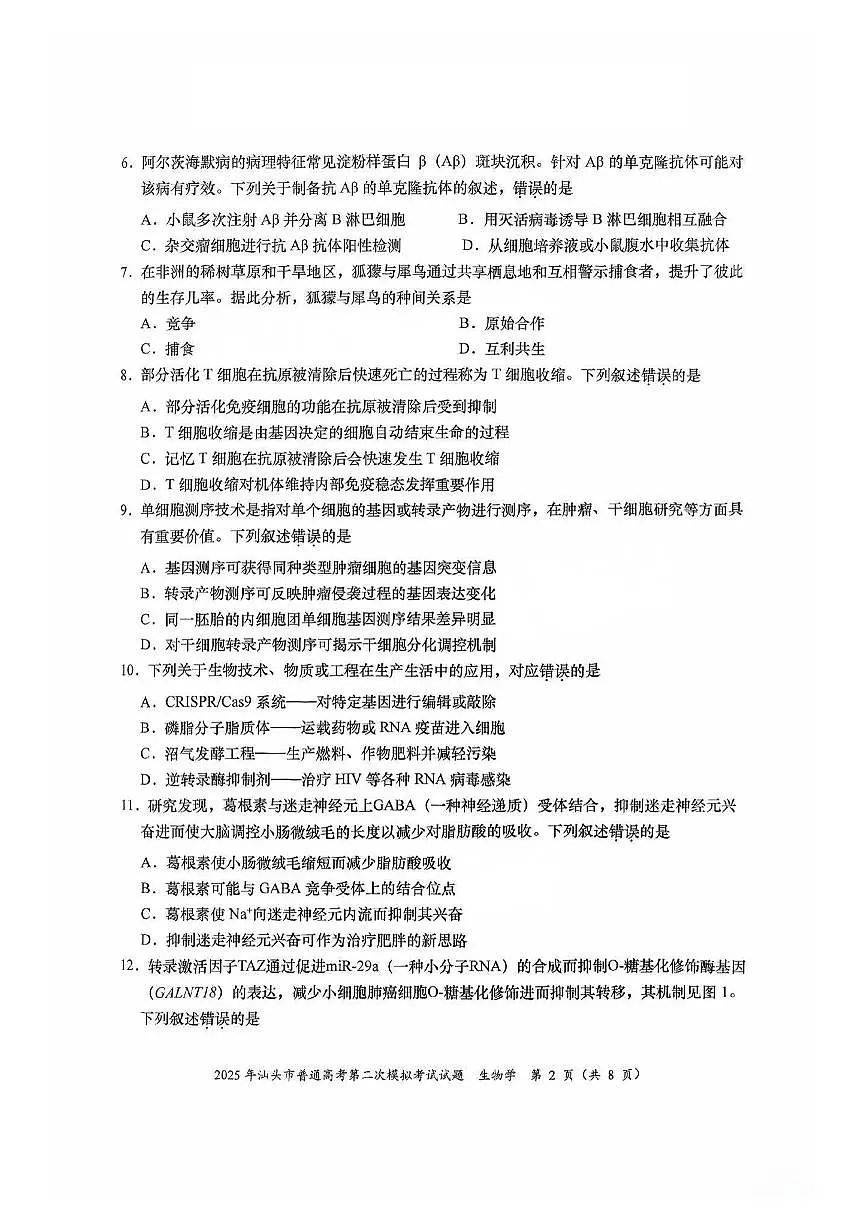 广东省汕头市2025届高三高考模拟第二次模拟-生物试题+答案第2页