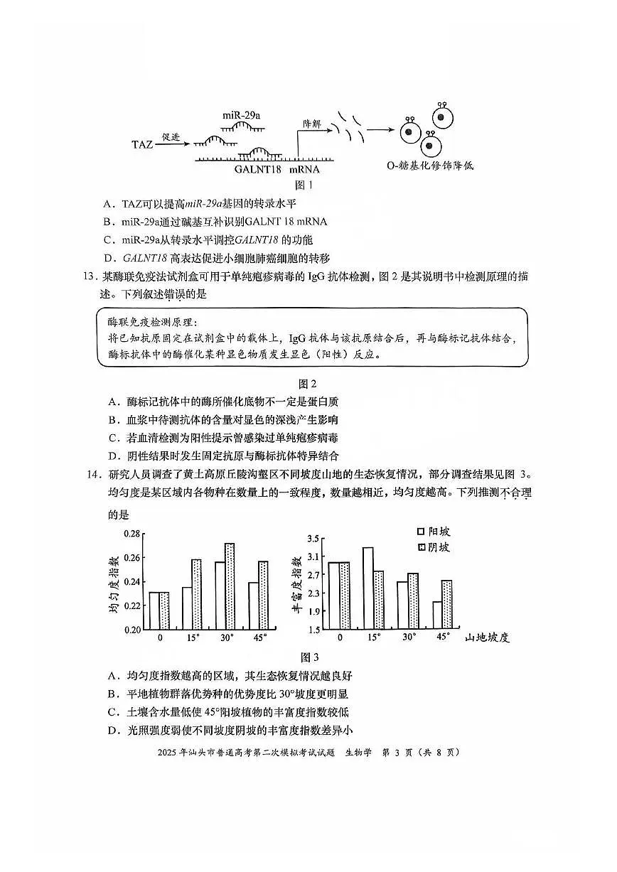广东省汕头市2025届高三高考模拟第二次模拟-生物试题+答案第3页