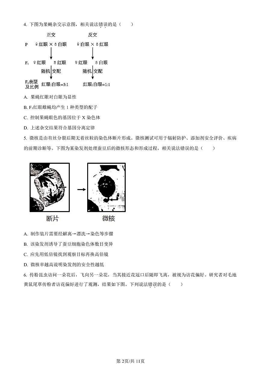 北京市房山区2024届高三上学期期末考试生物试卷（含答案）第2页
