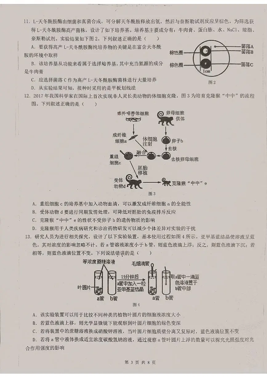 广东省2024届高三第四次六校联考 生物试卷（含答案）第3页