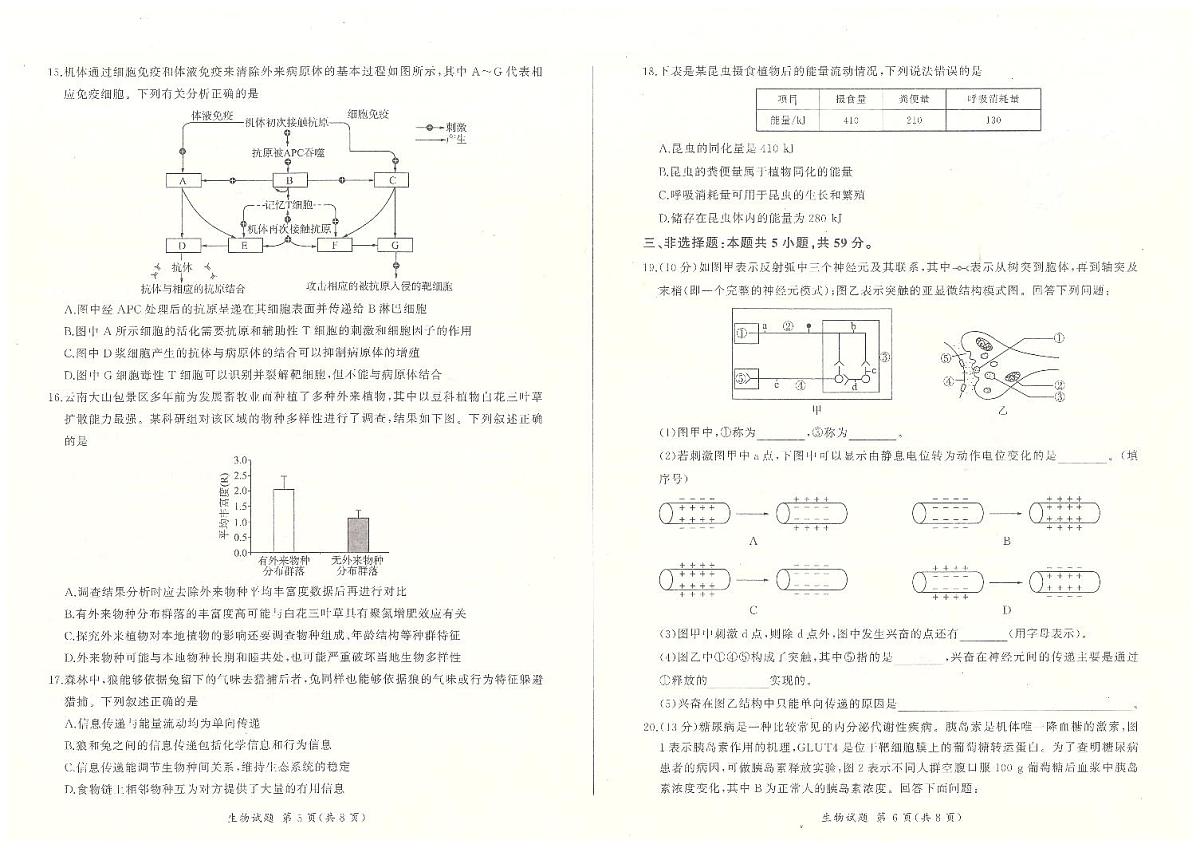 河北省百师联盟2023-2024学年高二上学期1月期末大联考 生物试卷（含答案）第3页