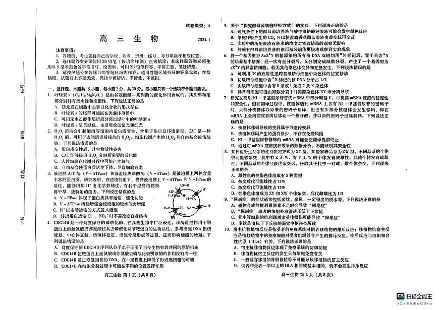 山东省潍坊市2023-2024学年高三上学期1月期末生物试卷（含答案）第1页