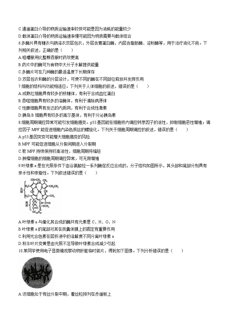山西省太原市2024届高三上学期期末学业诊断生物试卷（含答案）第2页