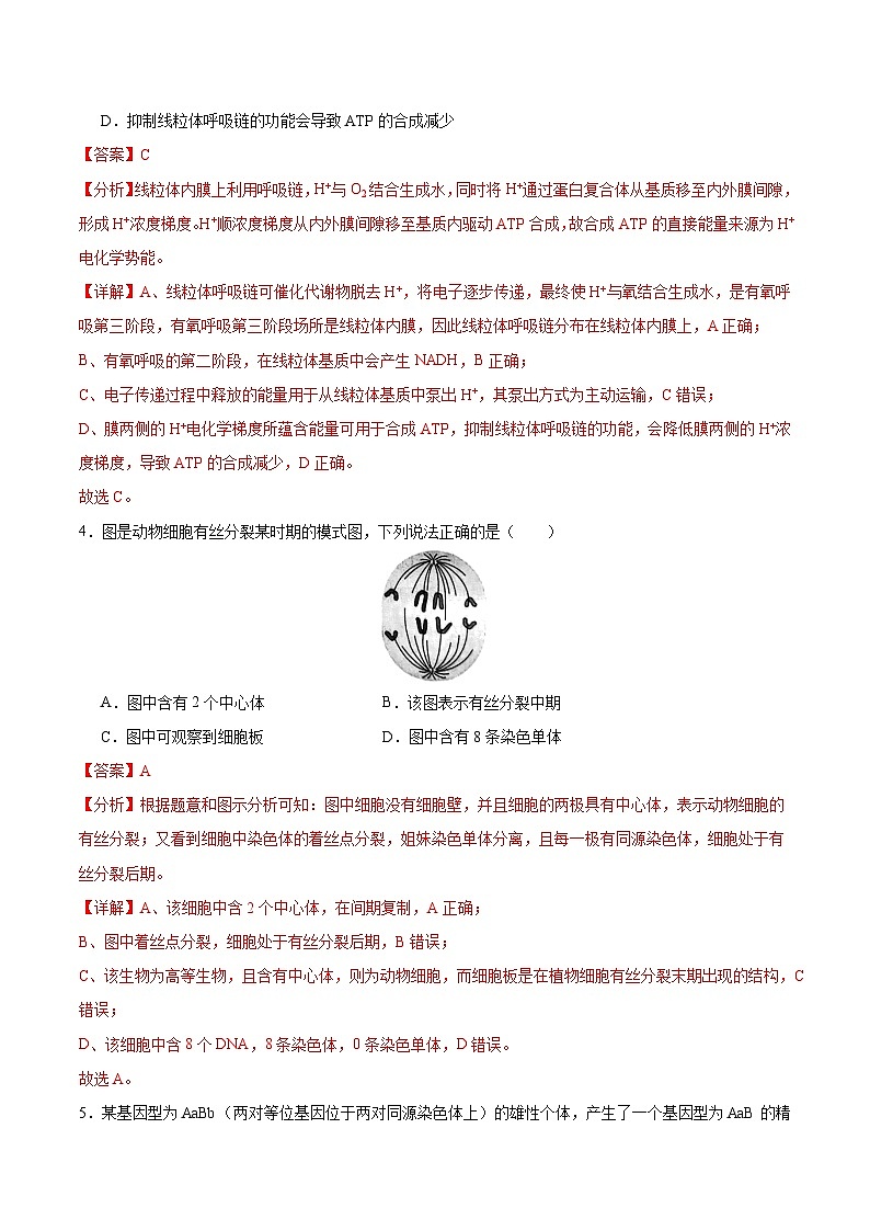 2025年高考第二次模拟考试卷：生物（广东卷01）（解析版）第3页