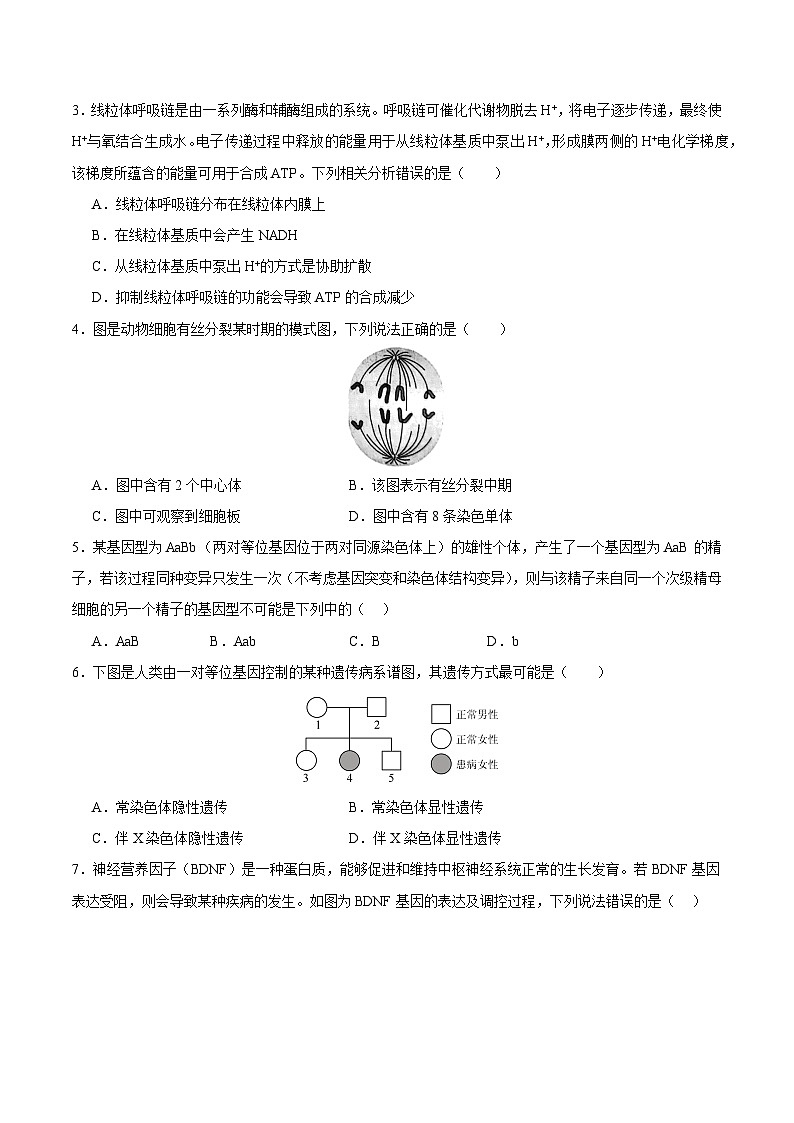 2025年高考第二次模拟考试卷：生物（广东卷01）（考试版）第2页