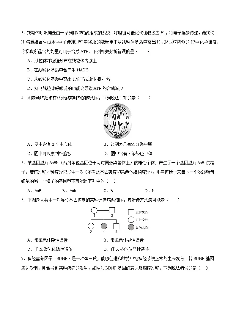 2025年高考第二次模拟考试卷：生物（广东卷01）（考试版）第2页