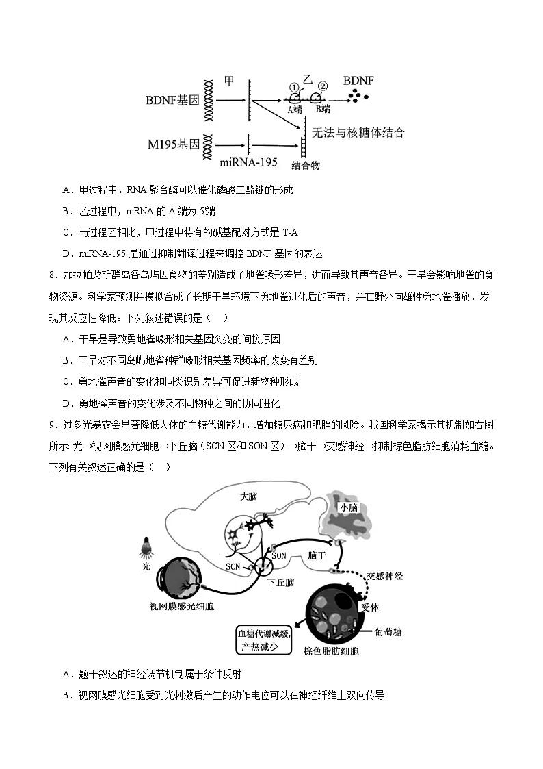 2025年高考第二次模拟考试卷：生物（广东卷01）（考试版）第3页