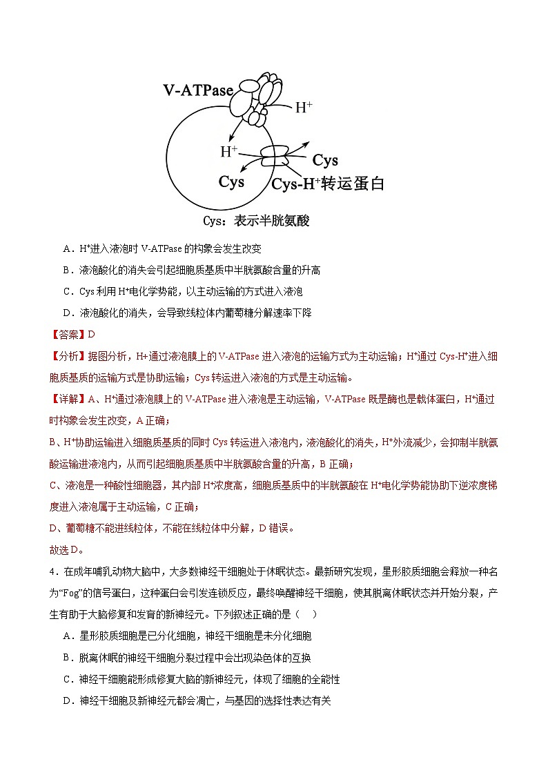 2025年高考第二次模拟考试卷：生物（广东卷02）（解析版）第3页