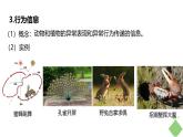 生态系统的信息传递 课件 人教版高中生物选择性必修2
