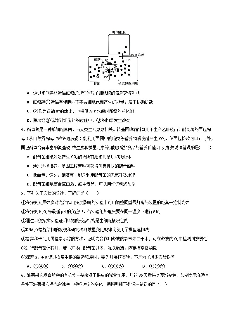 2025年高考第二次模拟考试卷：生物（河北卷）（考试版）第2页