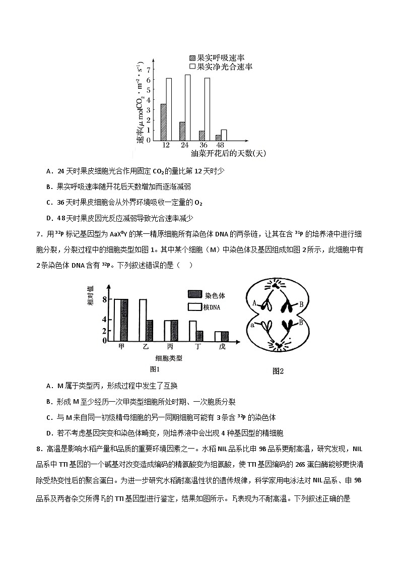 2025年高考第二次模拟考试卷：生物（河北卷）（考试版）第3页