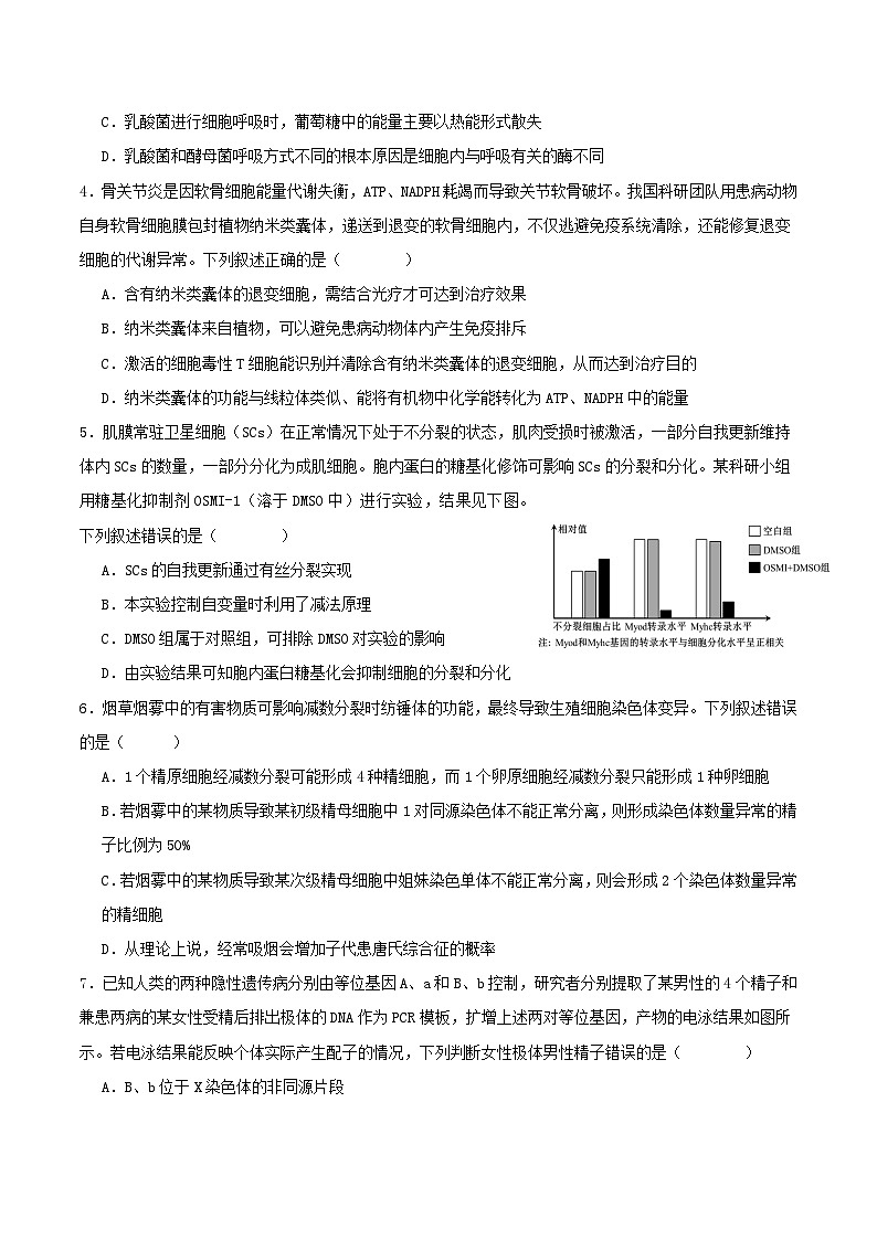 2025年高考第二次模拟考试卷：生物（湖北卷）（考试版）第2页
