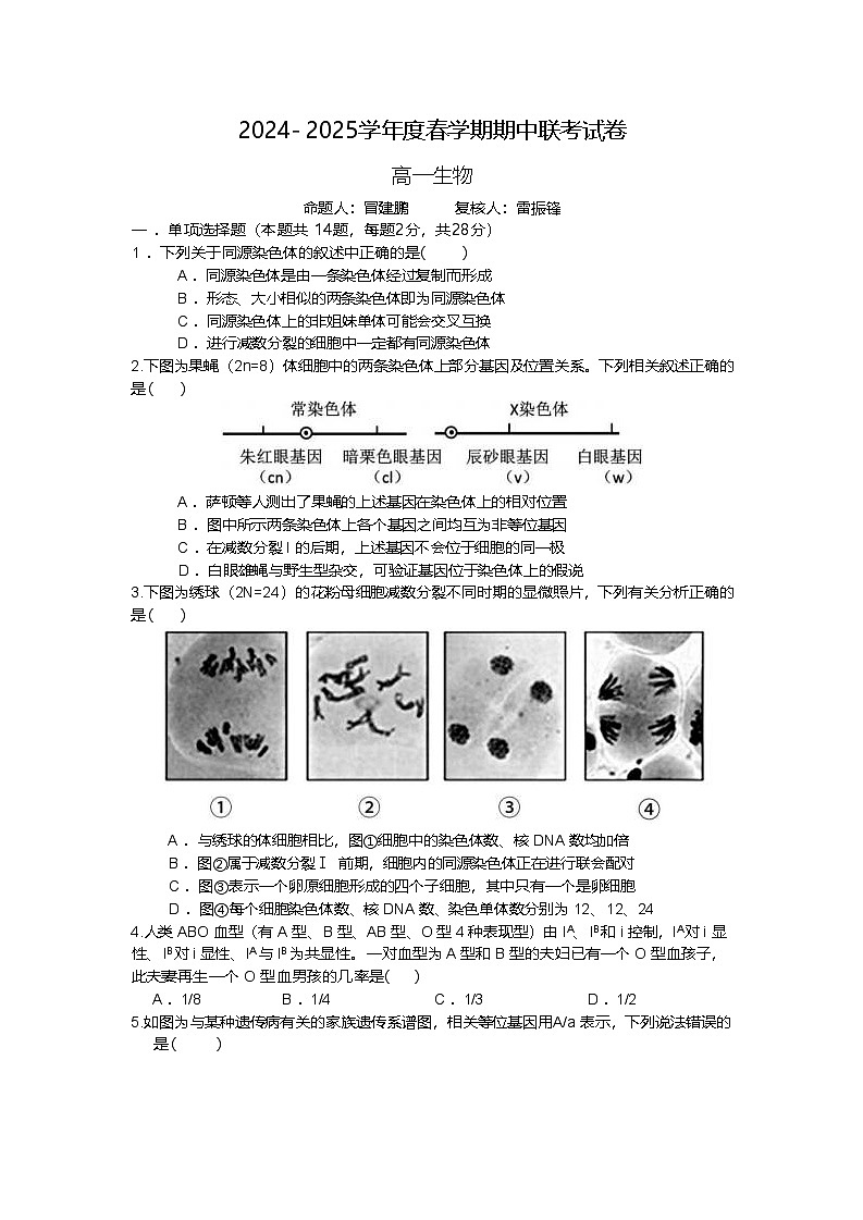 江苏省无锡市江阴市六校2024-2025学年高一下学期4月期中联考生物试卷（Word版附答案）第1页