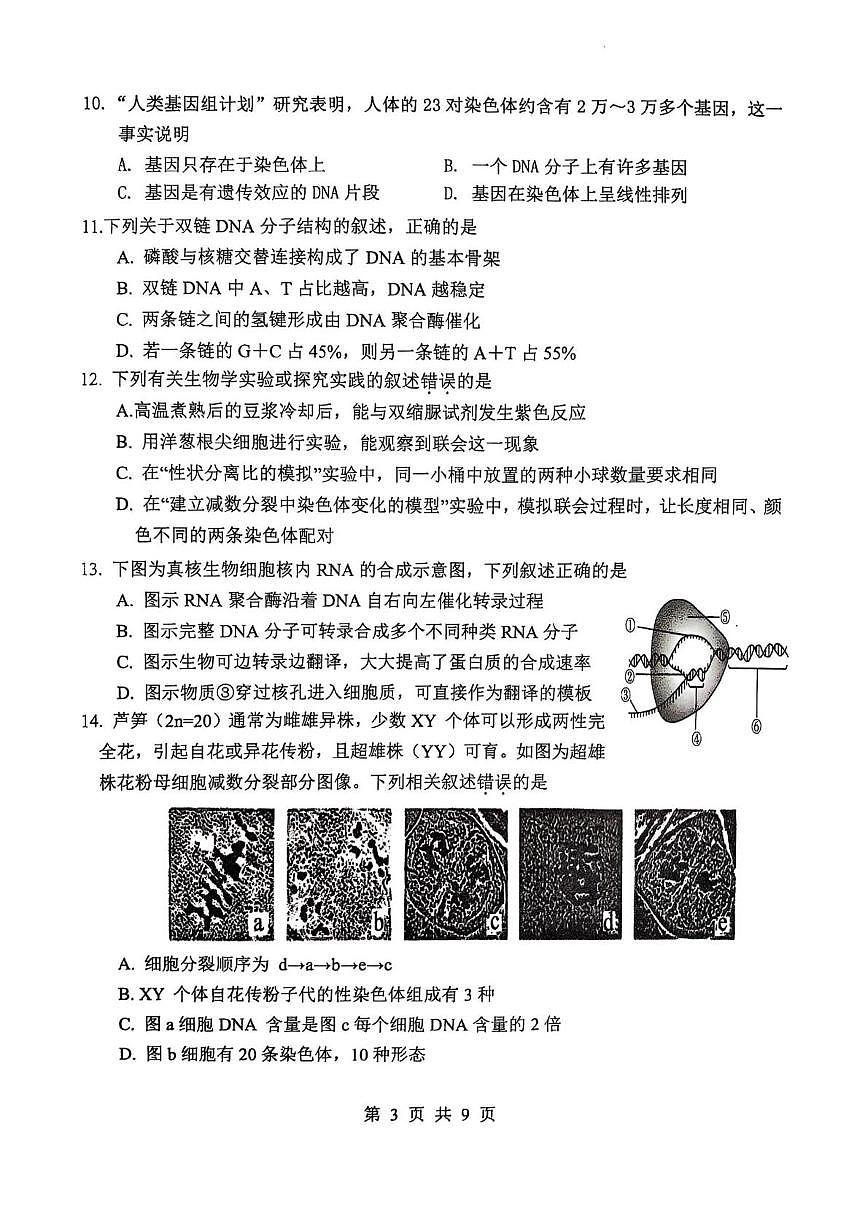 江苏省徐州市铜山区2024-2025学年高一下学期4月期中考试生物试卷（PDF版附答案）第3页