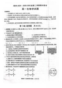 陕西省榆林市2024-2025学年高一下学期期中联考生物试卷（PDF版附答案）