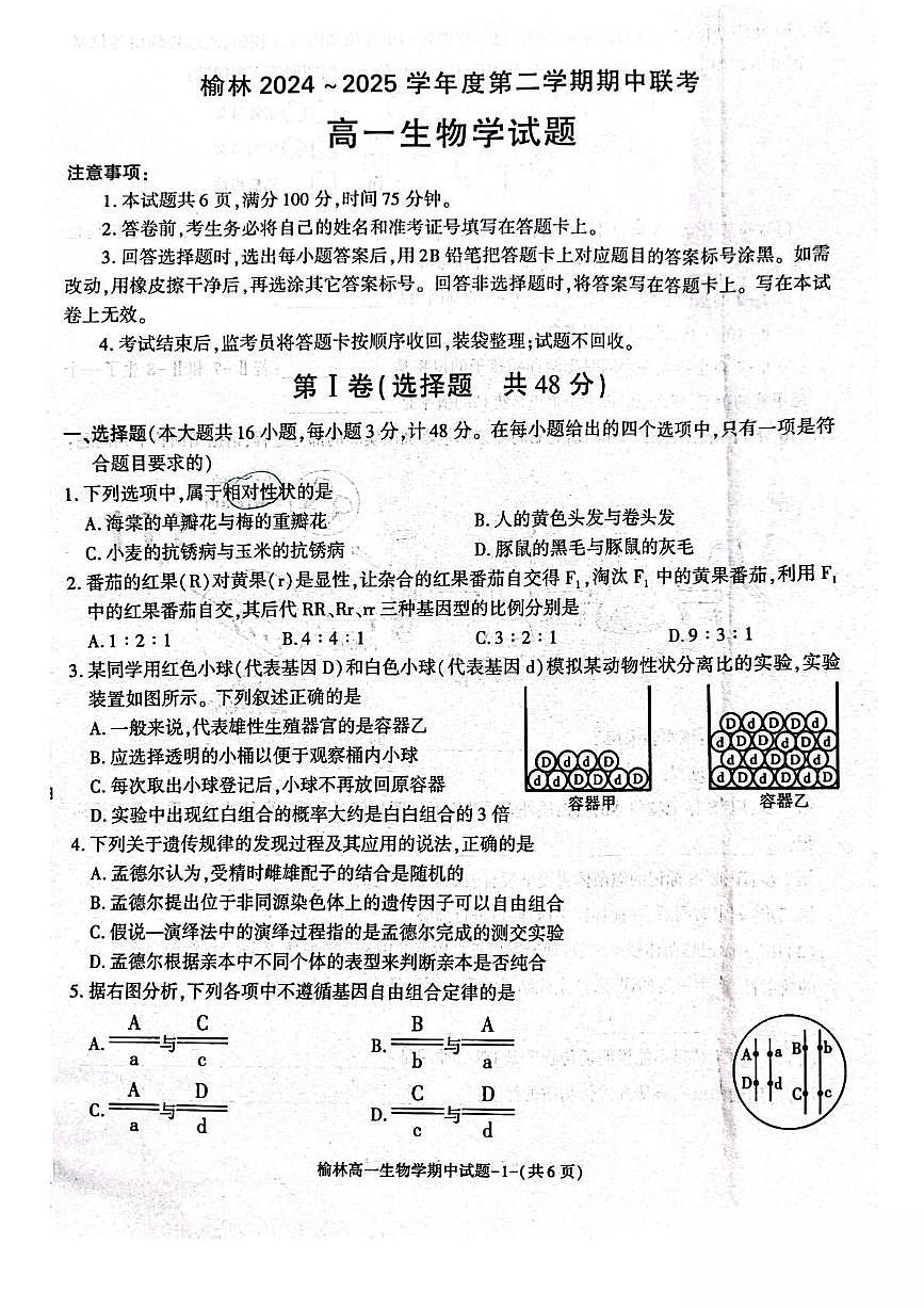 陕西省榆林市2024-2025学年高一下学期期中联考生物试卷（PDF版附答案）第1页
