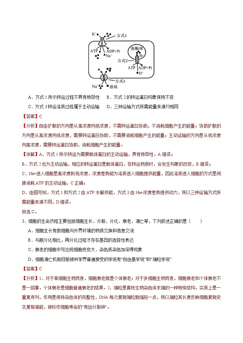 2025年高考第二次模拟考试卷：生物（江苏卷02）（解析版）第2页