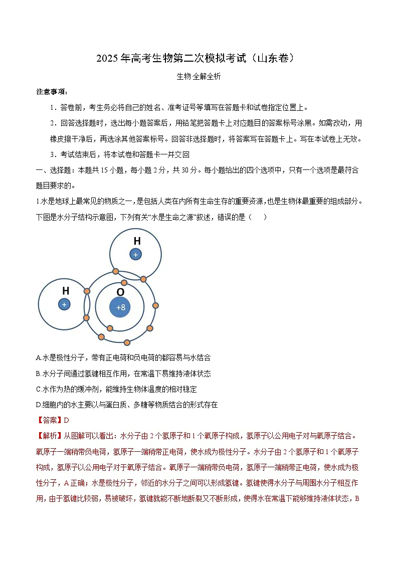 2025年高考第二次模拟考试卷：生物（山东卷）（解析版）第1页