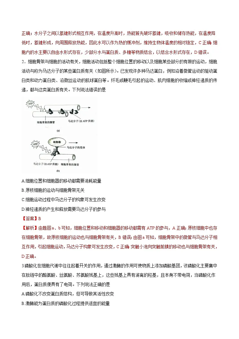2025年高考第二次模拟考试卷：生物（山东卷）（解析版）第2页