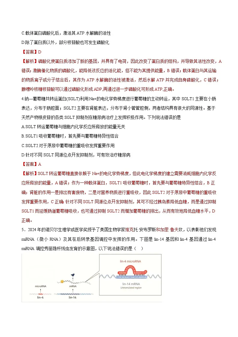 2025年高考第二次模拟考试卷：生物（山东卷）（解析版）第3页
