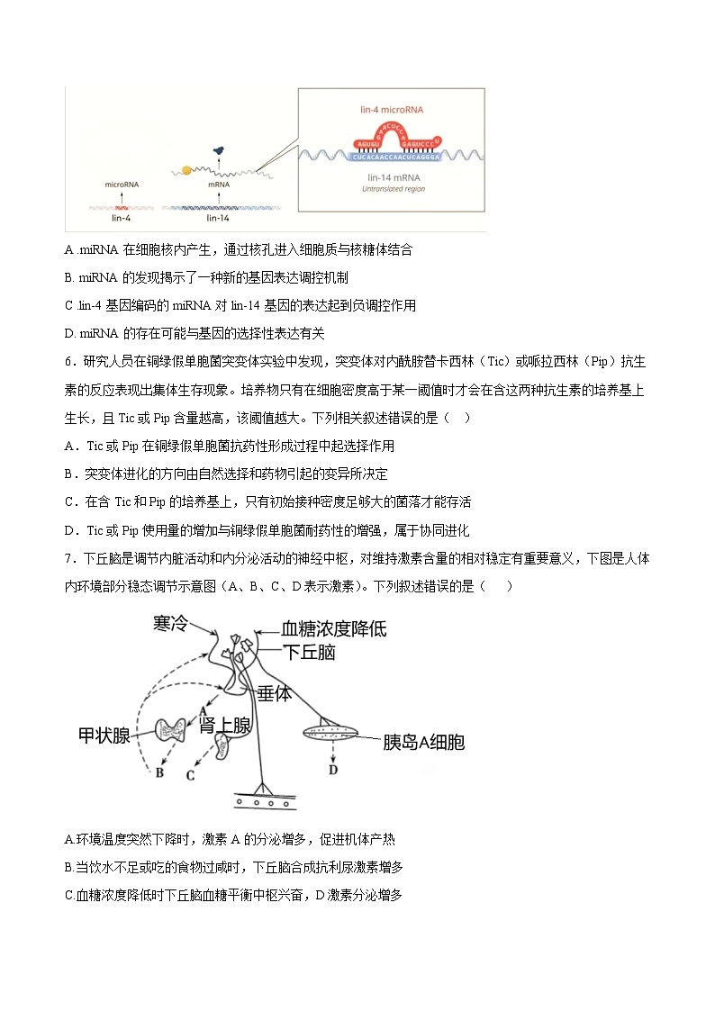 2025年高考第二次模拟考试卷：生物（山东卷）（考试版）第3页