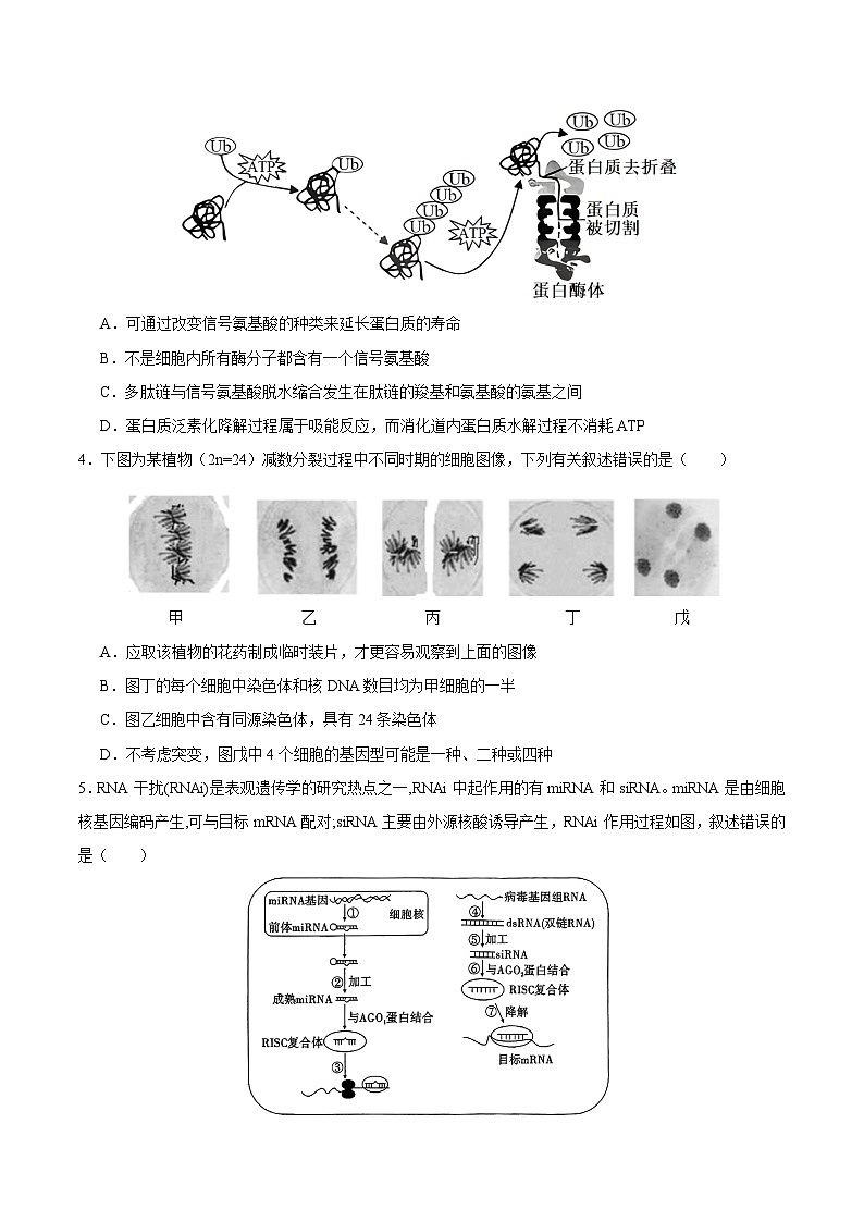 2025年高考第二次模拟考试卷：生物（天津卷）（考试版）第2页
