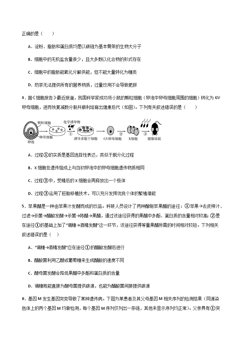 2025年高考第二次模拟考试卷：生物（浙江卷）（考试版）第2页