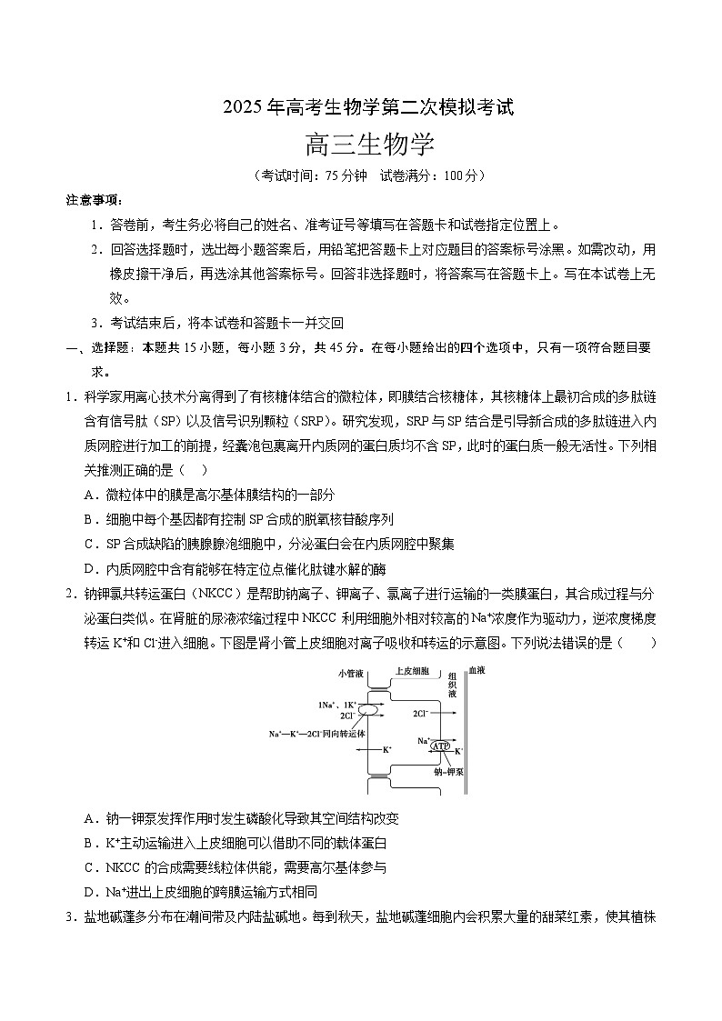 2025年高考第二次模拟考试卷：生物（重庆卷）（考试版）第1页