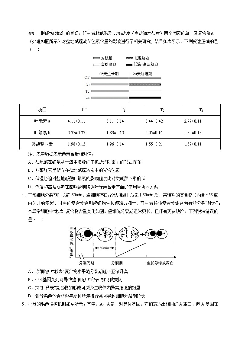2025年高考第二次模拟考试卷：生物（重庆卷）（考试版）第2页
