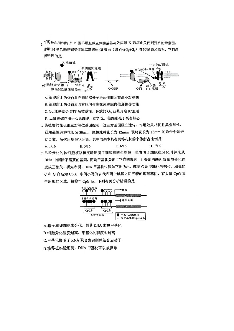 2025届四川省绵阳市高中第三次诊断性考试生物试卷（A）含答案第2页